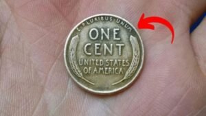 Could a Lincoln Wheat Penny Worth $510,000 Be in Your Pocket